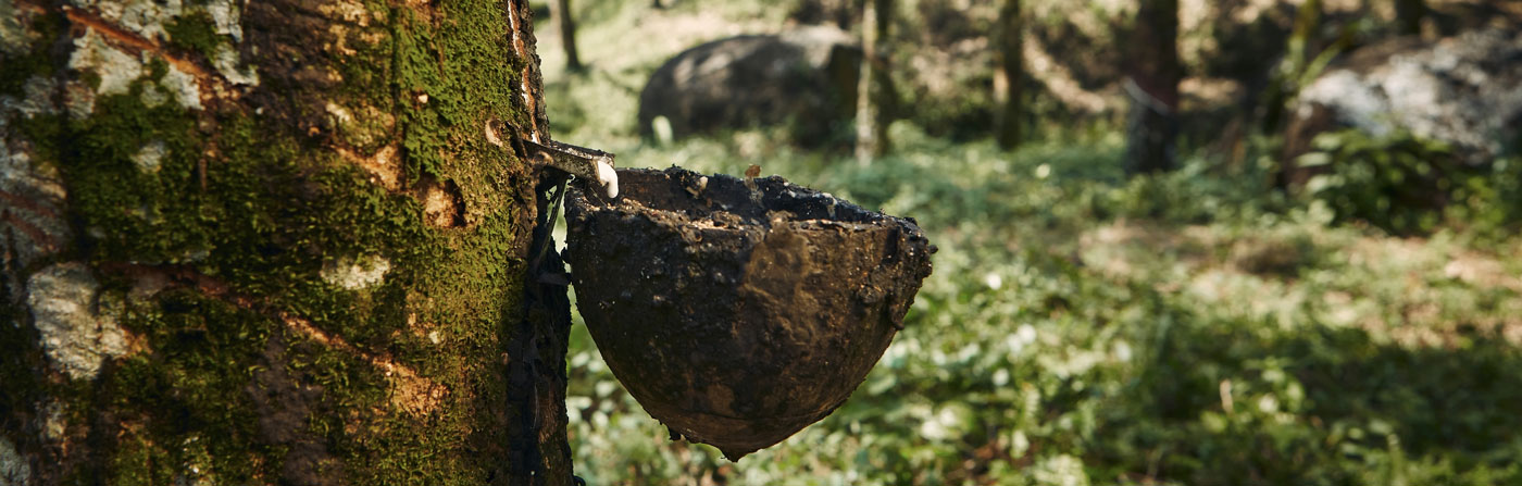 How Rubber Is Sourced And Used