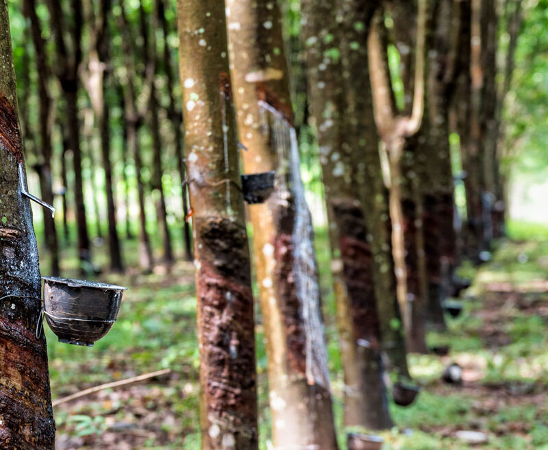 Rubber Archives AirBoss Of America